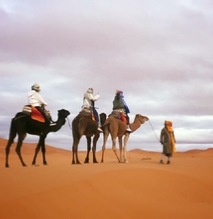 cultural and desert tour from Casablanca