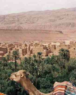 Desert Tour from Marrakech